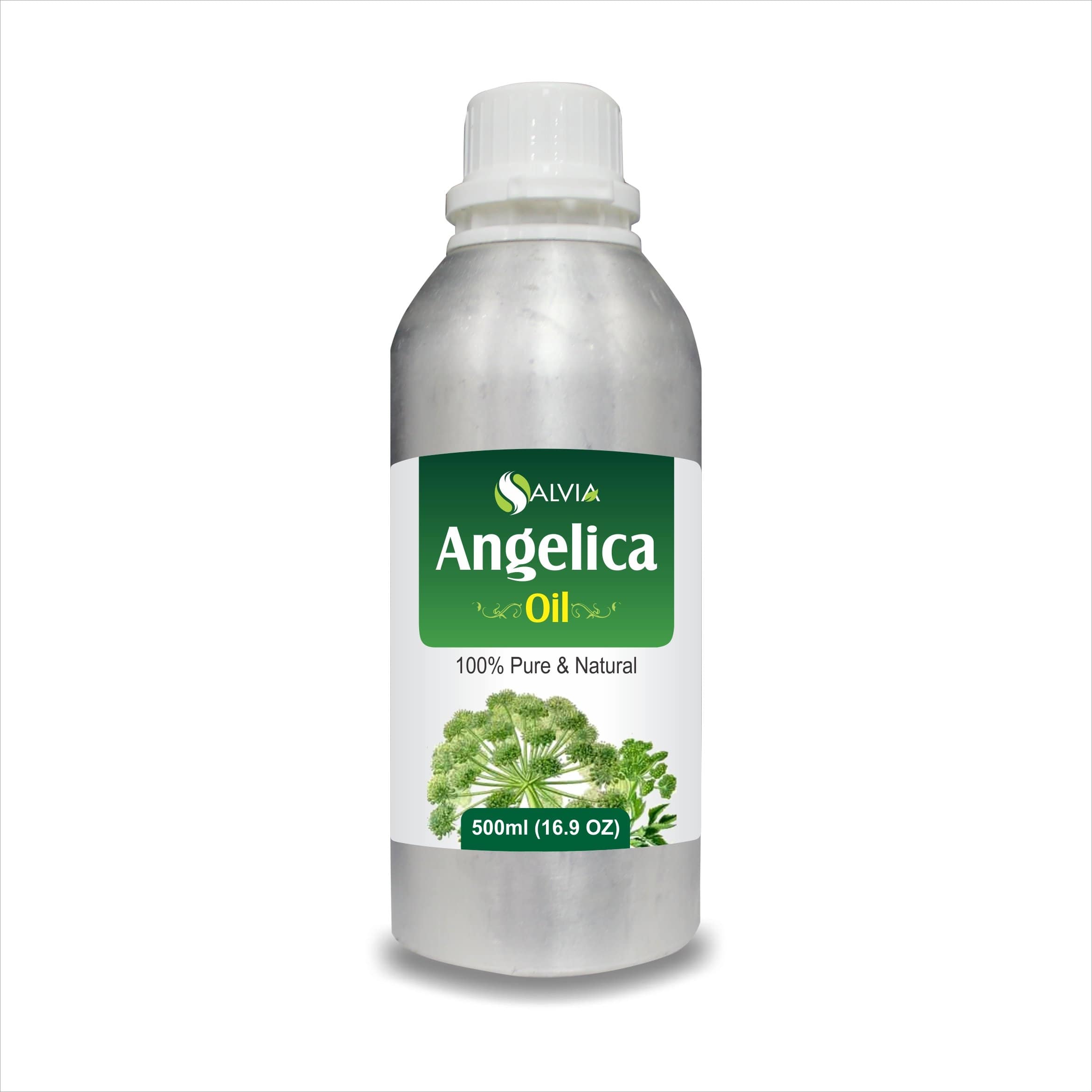 angelica essential oil doterra